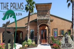 the palms pet resort and spa in san antonio texas, pet resort in san antonio texas